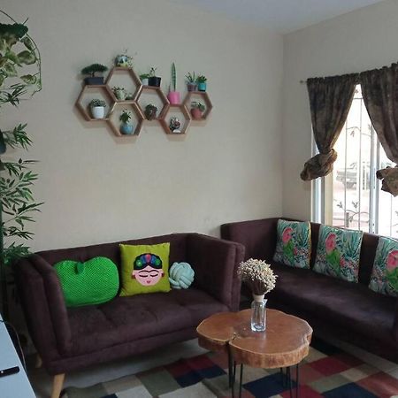 Apartament La Casa Del Pinito Sonsonate Zewnętrze zdjęcie
